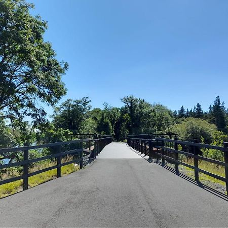 Kilronan Cottage 巴利康尼利 外观 照片